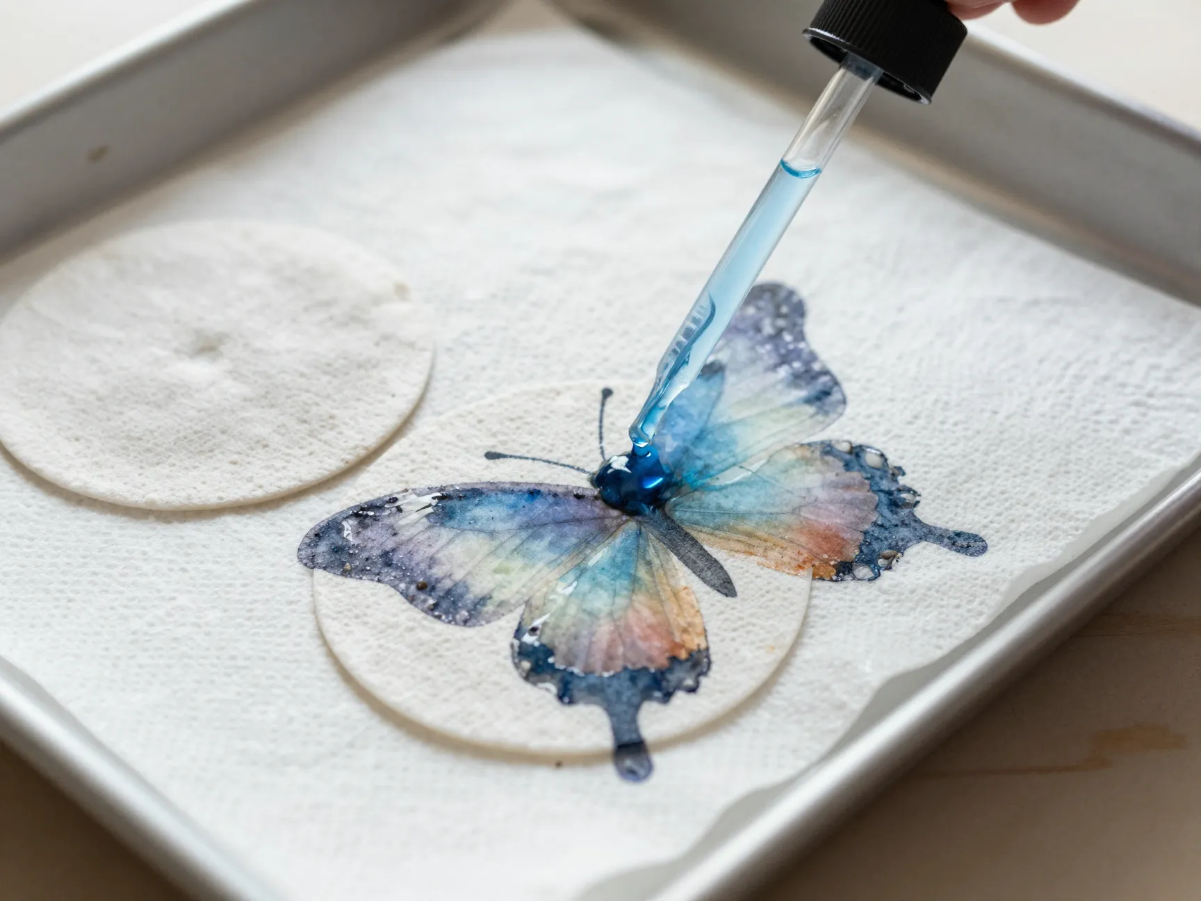 Watercolor wash butterfly paint applied with dropper transparent layered colors