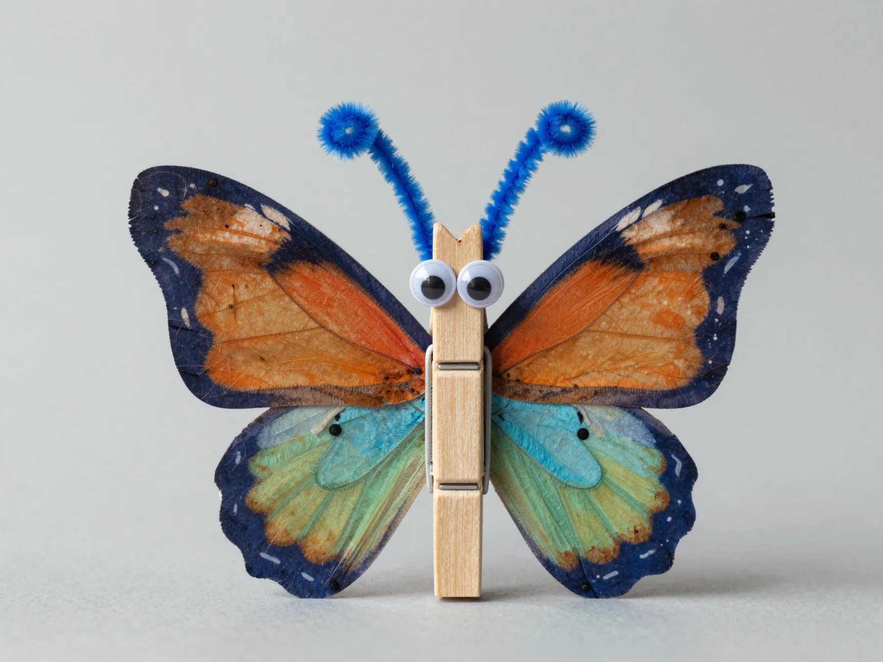 Clothespin body butterfly painted wooden body googly eyes pipe cleaner antennae