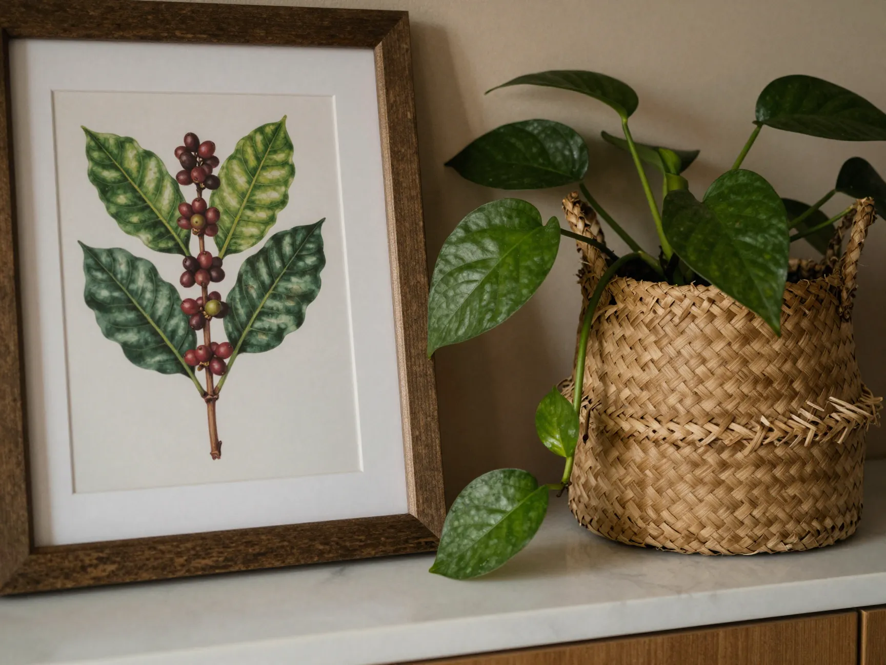 Coffee plant art print potted pothos and woven basket on textured surface