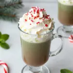 9 Delicious Matcha Lattes Recipes for Every Season