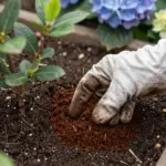 8 Genius Ways to Use Your Leftover Espresso Coffee Grounds